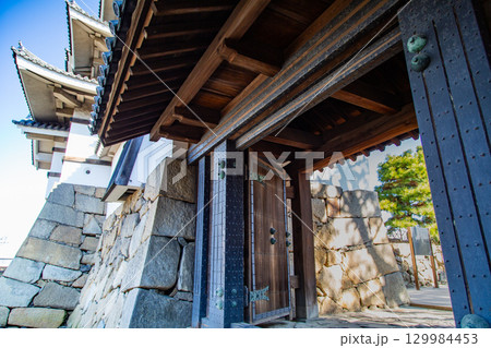 玉藻公園　鯛が泳ぐ城 129984453