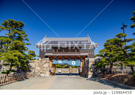 玉藻公園　鯛が泳ぐ城 129984459