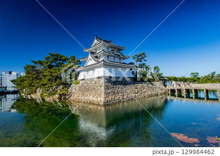 玉藻公園 鯛が泳ぐ城 玉藻公園 鯛が泳ぐ城 129984462
