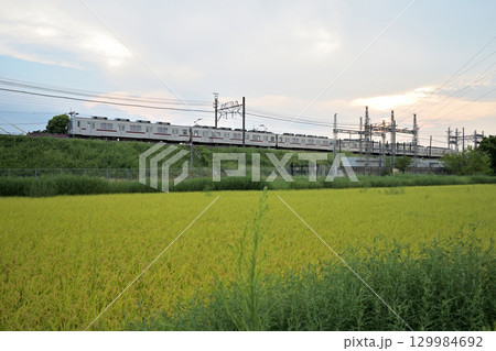 田園地帯を走る東武10000系通勤電車（東武伊勢崎線） 129984692