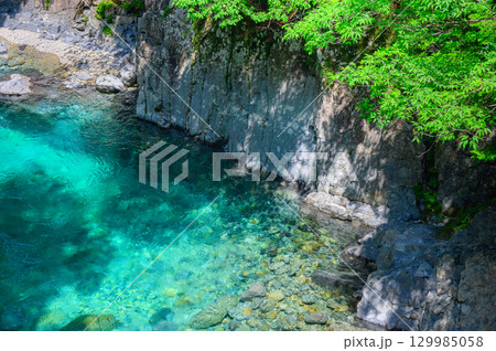 【阿寺渓谷】阿寺ブルー【犬帰りの淵】 129985058