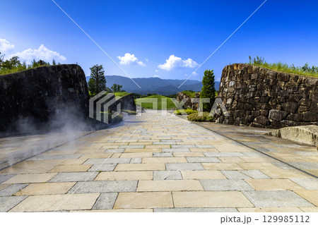 国営讃岐まんのう公園　季節の花畑 129985112