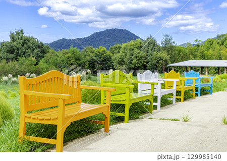国営讃岐まんのう公園　季節の花畑 129985140