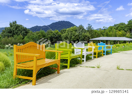 国営讃岐まんのう公園　季節の花畑 129985141