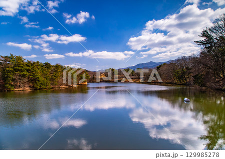 国営讃岐まんのう公園　季節の花畑 129985278