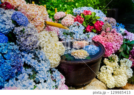 国営讃岐まんのう公園　季節の花畑 129985413