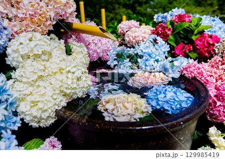 国営讃岐まんのう公園　季節の花畑 129985419