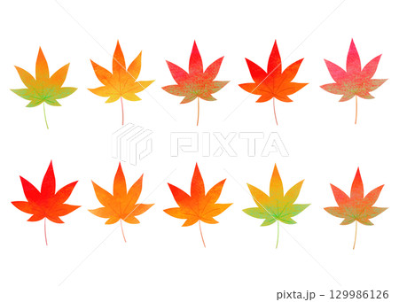 秋　カラフルなカエデのイラスト 129986126