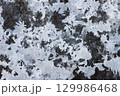 地面にある氷 129986468