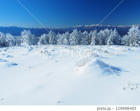 北八ヶ岳の樹氷の森と中央アルプスの遠望 129986485