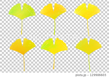 Autumn colorful ginkgo set 129986603