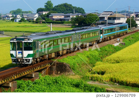 田園風景を走り抜ける特急剣山2号（キハ185系） 129986709