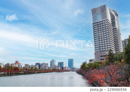 大川と紅葉の毛馬桜之宮公園（右岸側）／大阪府大阪市北区天満橋1丁目 129986936