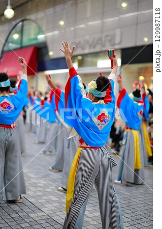 帯屋町で踊るよさこい祭り 129987118