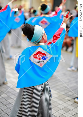 帯屋町で踊るよさこい祭り 帯屋町で踊るよさこい祭り 129987134