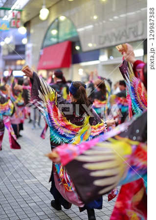 帯屋町で踊るよさこい祭り 129987388