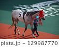 船橋競馬場　風景　2025年5月 129987770