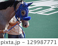船橋競馬場　風景　2025年5月 129987771