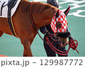船橋競馬場　風景　2025年5月 129987772