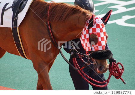 船橋競馬場 風景 2025年5月 船橋競馬場 風景 2025年5月 129987772
