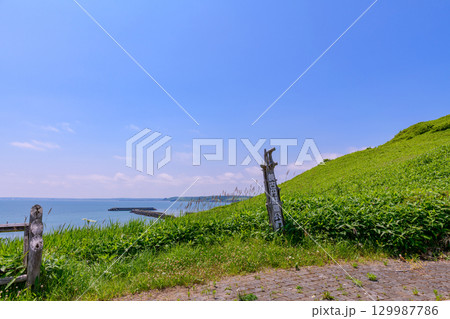 浜中町 羨古丹(ウラヤコタン)駐車公園から望む太平洋と海岸の風景 浜中町 羨古丹(ウラヤコタン)駐車公園から望む太平洋と海岸の風景 129987786