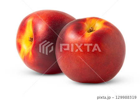 Nectarine fruit isolated. Two nectarine peaches fruits with clipping path. Nectarine fruit isolated. Two nectarine peaches fruits with clipping path. 129988319