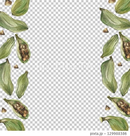 Cardamom spices watercolor banner with green pods and seed illustration. Hand drawn frame with fresh aroma condiment clipart, tea and sweet cooking rolls and loaf ingredient. Template for label,logo 129988386