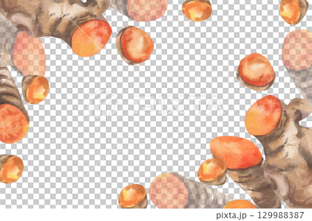 Turmeric roots spice watercolor banner template. Hand drawn indian and oriental cuisine orange spice clipart, spicy roots and slices for sauce and beverage ingredient. Hot food drawing for packing 129988387