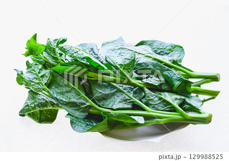 ツルムラサキ ツルムラサキ 129988525