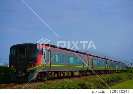 阿波踊り期間限定！5両編成の特急うずしお（2700系） 129988542