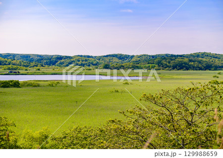 青空の下に広がる浜中町 幌戸湿原の汽水湖「幌戸沼」 青空の下に広がる浜中町 幌戸湿原の汽水湖「幌戸沼」 129988659