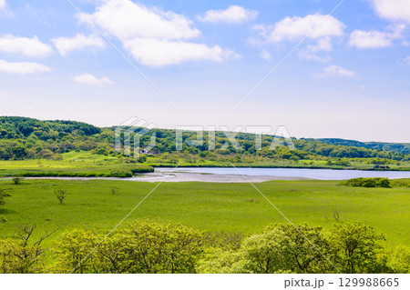 青空の下に広がる浜中町 幌戸湿原の汽水湖「幌戸沼」 青空の下に広がる浜中町 幌戸湿原の汽水湖「幌戸沼」 129988665