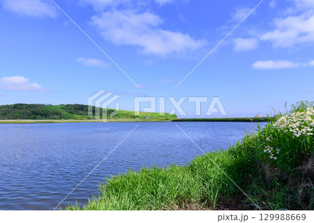 青空の下に広がる浜中町 幌戸湿原の汽水湖「幌戸沼」 青空の下に広がる浜中町 幌戸湿原の汽水湖「幌戸沼」 129988669