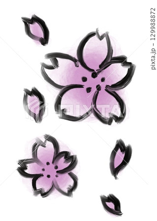桜　和風　筆　水墨画　水彩　花びら　墨絵 129988872