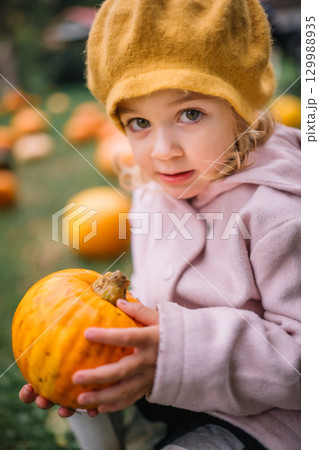 A young child enjoys pumpkin picking on a sunny autumn day in a vibrant field A young child enjoys pumpkin picking on a sunny autumn day in a vibrant field 129988935
