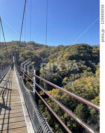 大阪府民の森ほしだ園地の星のブランコ 大阪府民の森ほしだ園地の星のブランコ 129989056