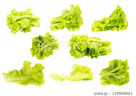Green lettuce isolated on white background Green lettuce isolated on white background 129989061