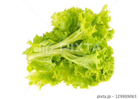 Green lettuce isolated on white background Green lettuce isolated on white background 129989063