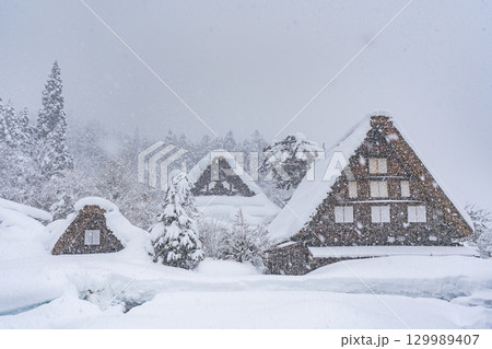 雪降る冬の白川郷 雪降る冬の白川郷 129989407