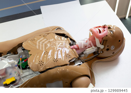 Advanced medical training mannequin with open chest and airway system, showing internal components for simulation of procedures, anatomy education, airway management and clinical skills practice Advanced medical training mannequin with open chest and airway system, showing internal components for simulation of procedures, anatomy education, airway management and clinical skills practice 129989445