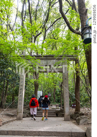 People hiking at Yunqi bamboo trail, a scenic path in Hangzhou located in the West Lake scenic area with a dense bamboo forest 129989856