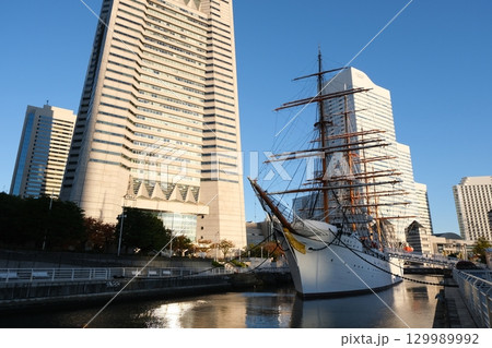 神奈川県横浜市_日本丸メモリアルパーク11_2024年11月 129989992