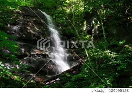 夏の清流 夏の清流 129990128