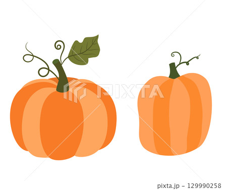 Orange autumn pumpkins with green stems, vector graphics for Thanksgiving and Halloween designs Orange autumn pumpkins with green stems, vector graphics for Thanksgiving and Halloween designs 129990258