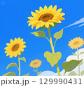 青空とひまわり 129990431
