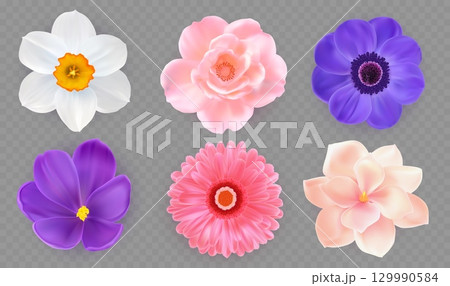3d flowers. Spring daisy, peony bloom, floral chrysanthemum, orchid blossom, nature summer day isolated elements. Fresh pink purple plant decoration top view. Vector realistic floral set 3d flowers. Spring daisy, peony bloom, floral chrysanthemum, orchid blossom, nature summer day isolated elements. Fresh pink purple plant decoration top view. Vector realistic floral set 129990584