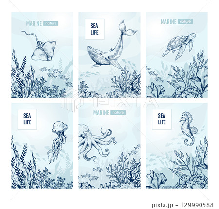 Sea sketch. Underwater whale, coral and dolphin. Botanical seaweed, ocean animals as retro octopus, hand drawn fish. Marine blue summer print. Poster design, menu cover. Vector isolated set 129990588