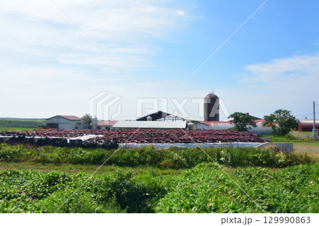 JR北海道、根室本線の落石駅から厚床駅までの車窓風景 JR北海道、根室本線の落石駅から厚床駅までの車窓風景 129990863