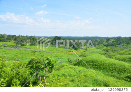 JR北海道、根室本線の落石駅から厚床駅までの車窓風景 129990876
