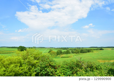JR北海道、根室本線の厚床駅から浜中駅までの車窓風景 129990900